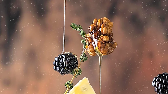 Cheesemonger Adam Moskowitz Discusses 'The Big Cheese' Documentary and Food Pairings