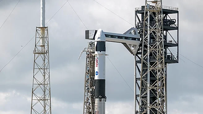 SpaceX's Revenue Shift: AI and Telecom Surpass Space Ventures