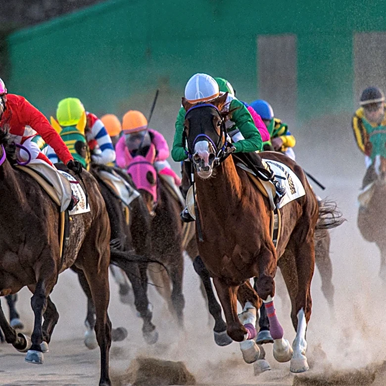 Pacific Avenue Injured, Withdrawn from GI Saratoga Derby