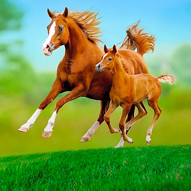 Thoroughbred Breeding: Balancing Speed and Genetic Diversity