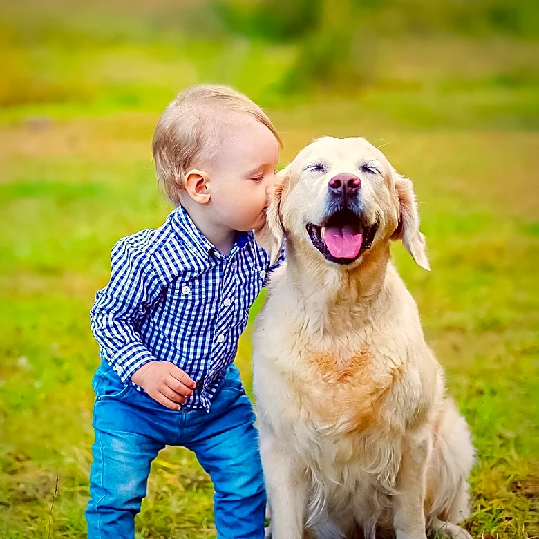 Heartwarming Video of Golden Retriever and Toddler Captures Internet's Heart