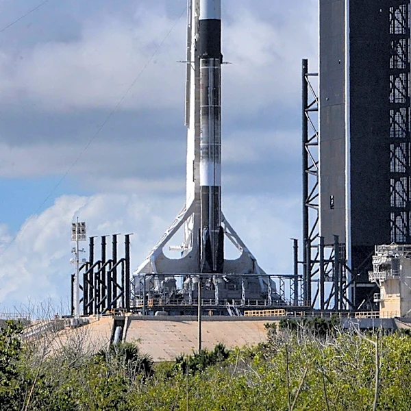 SpaceX Endorsement Boosts Nvidia Amid AI Infrastructure Expansion