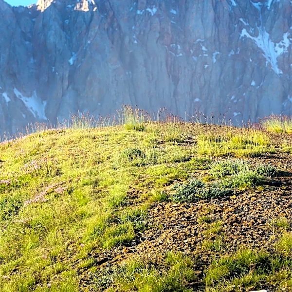 Exploring Sierra Nevada Mountain Gems: Day Trips from Sacramento