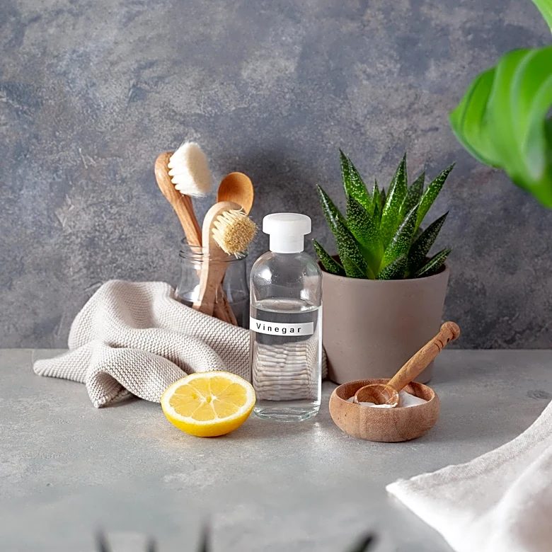 Eco-Friendly Reusable Products Gain Popularity in U.S. Households
