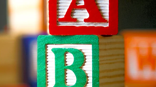 Alphabet's $200 Billion Infrastructure Investment Boosts Nvidia, Micron, and Broadcom