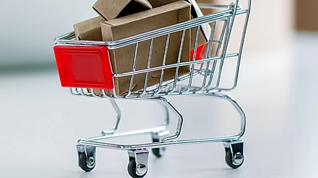 Ecommerce Brands Adopt Diverse Pricing Strategies to Enhance Profitability