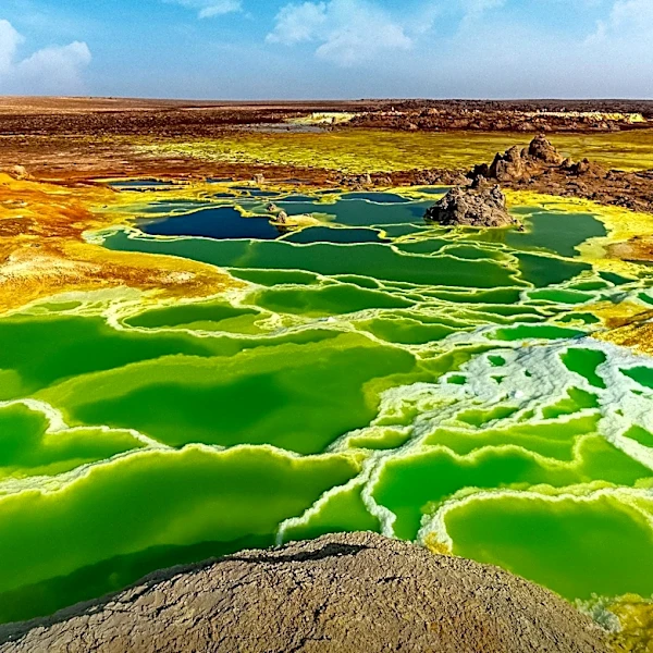 The Mosaic Co. Faces Challenges Amid Sulfur Price Surge and Production Curtailments
