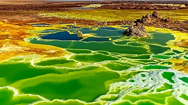 The Mosaic Co. Faces Challenges Amid Sulfur Price Surge and Production Curtailments