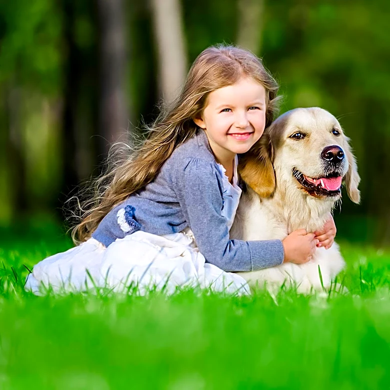 Golden Retriever's Adorable Antics Interrupt Little Girl's Reading Session