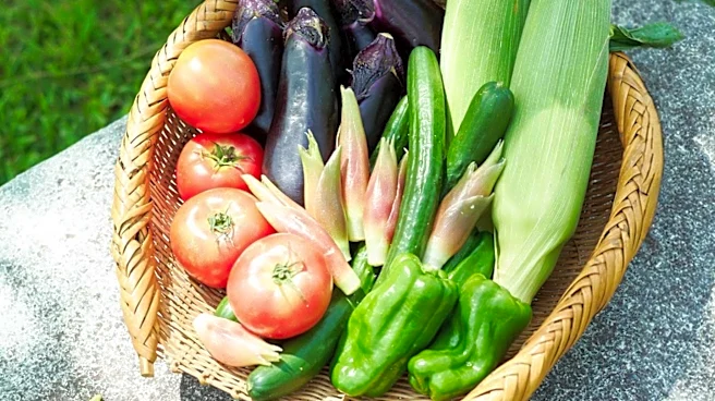 August Planting: Easy-to-Grow Crops for a Fall Harvest