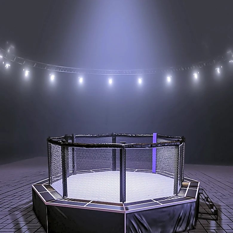 UFC 331 to Feature Flyweight Title Rematch Between Van and Pantoja