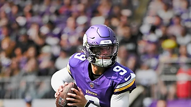 Vikings Owners Mark and Zygi Wilf Address Team's Lack of Postseason Success