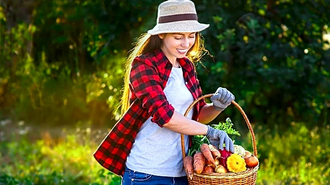 Late Summer Gardening Tips to Prepare for a Successful Fall Harvest