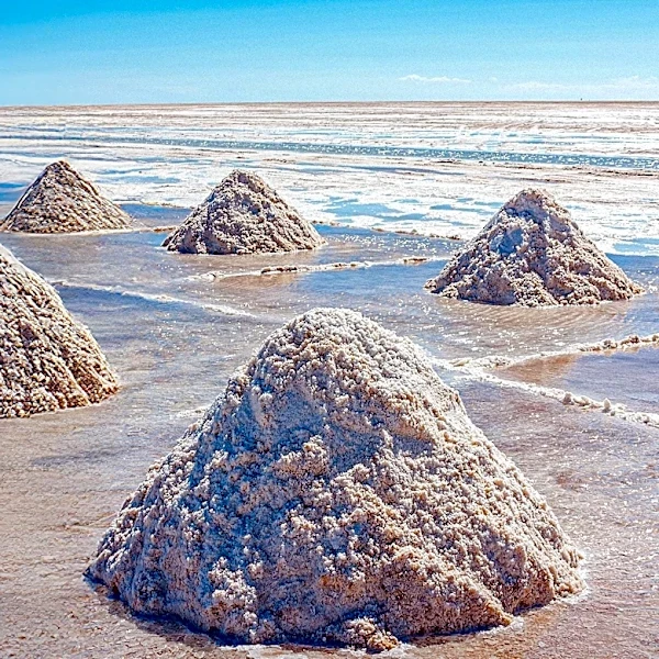 Albemarle Reports Strong Quarterly Profit Due to Rising Lithium Prices