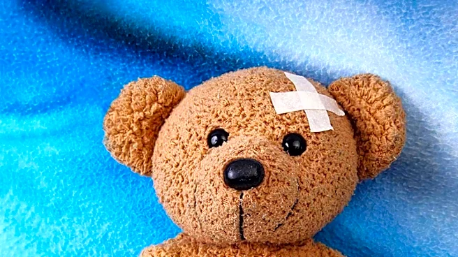 Perez Hilton Hospitalized After Disturbing Livestream Raises Concerns