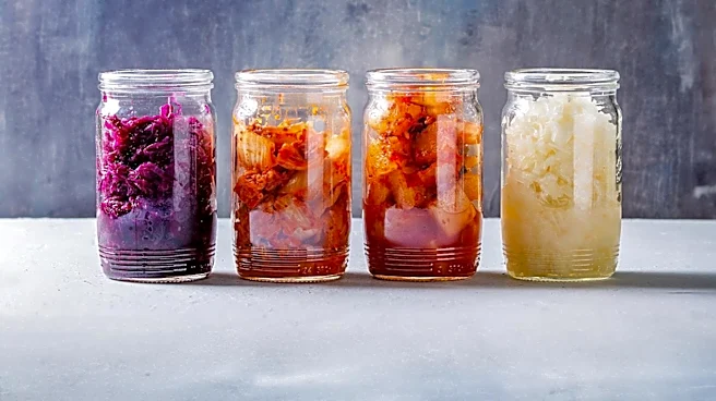 Fermented Foods: A Guide to Gut Health and Their Benefits
