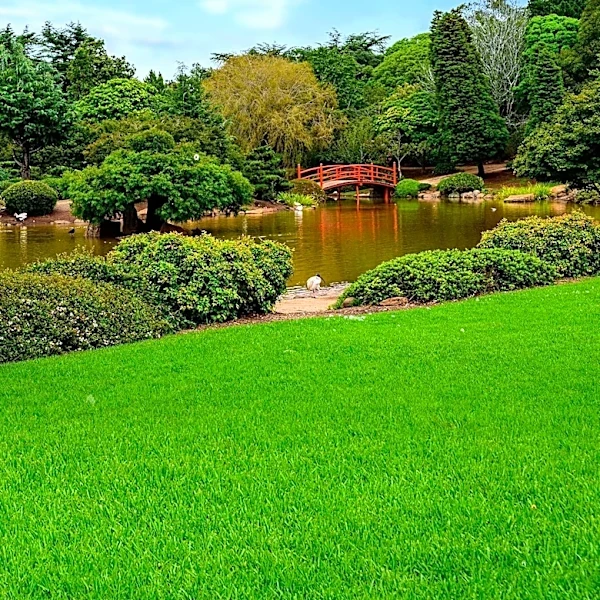 Urban Microadventure Tourism Gains Popularity with Shinjuku Gyoen as a Key Attraction