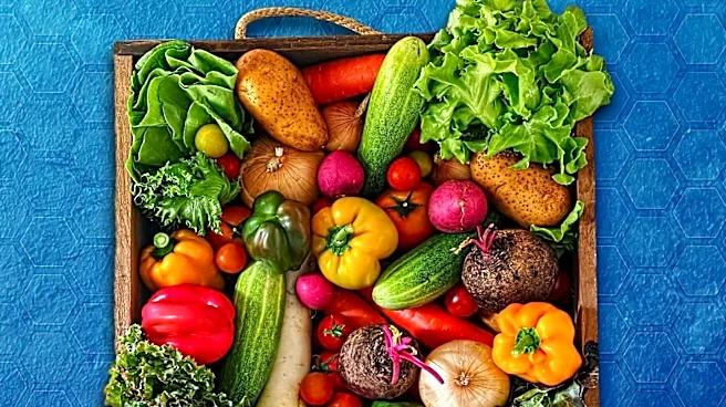 Welzo Explains Proper FODMAP Reintroduction for IBS Management
