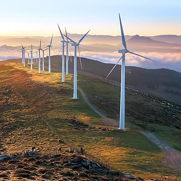 EDP Energias de Portugal Seeks Environmental Management Intern to Drive Renewable Energy Initiatives