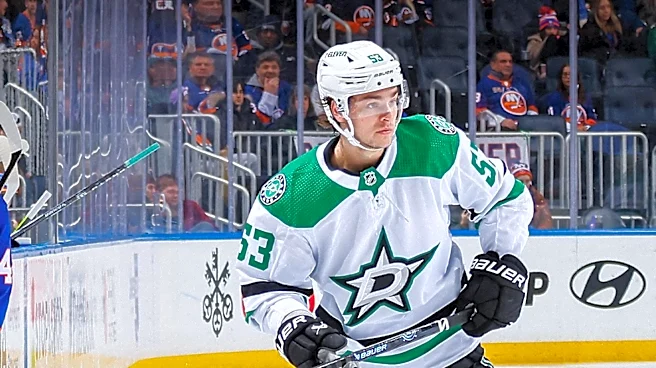 NHL Expansion Eyes Texas with Austin and Houston as Potential Hosts