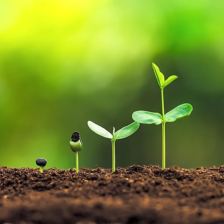 AgriGold Introduces 2027 Seed Lineup with Focus on Genetic Diversity and Farmer Feedback