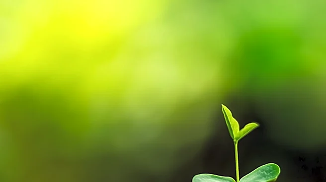 AgriGold Introduces 2027 Seed Lineup with Focus on Genetic Diversity and Farmer Feedback
