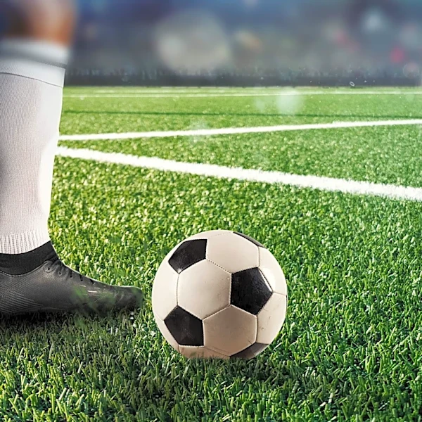 Florida Gators Soccer Matches to be Televised on SEC Network in Fall 2026