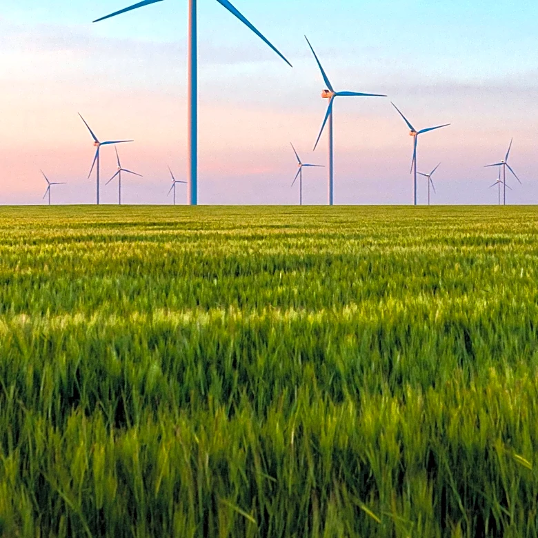 NextEra Energy's Diverse Energy Portfolio and Market Position