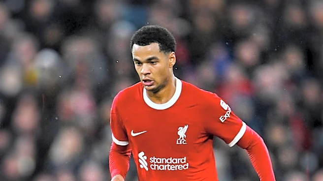 Tottenham Pursues Liverpool's Cody Gakpo Amid Transfer Speculations