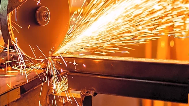 Nucor Corporation Expands Steel Production Amid Market Volatility
