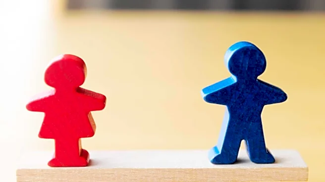 Meritocracy in the Workplace: A Myth Challenging Fairness and Equality