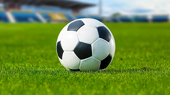 Borussia Dortmund Urges Patience with New Signing Konstantinos Karetsas