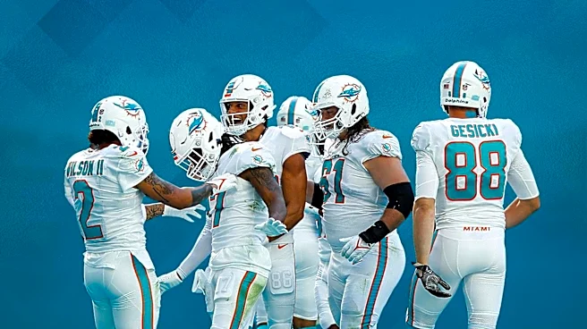 Miami Dolphins Training Camp Highlights Offensive and Defensive Developments