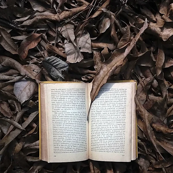 Claire Vaye Watkins Explores Environmental Injustice in New Novel 'Yellow Pine'
