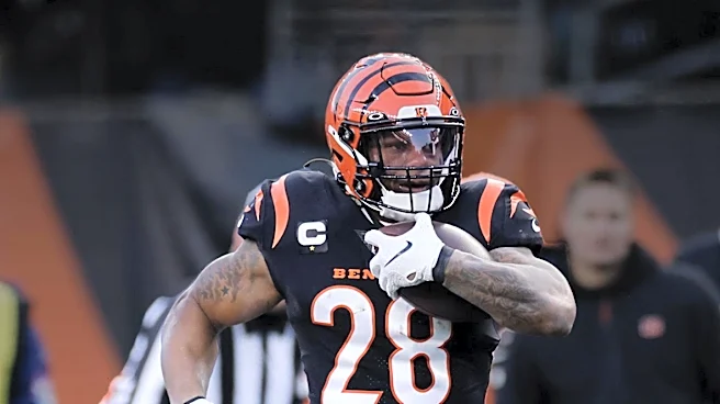 Cincinnati Bengals Training Camp Highlights: Unscripted Plays and Roster Developments
