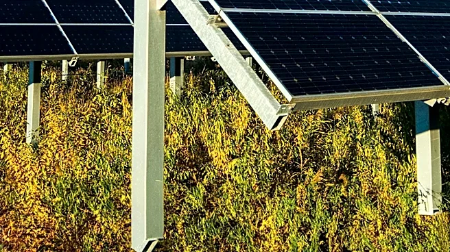 Sunrun Shifts to Direct Sales Amid Installer Channel Decline, Expands Grid Services