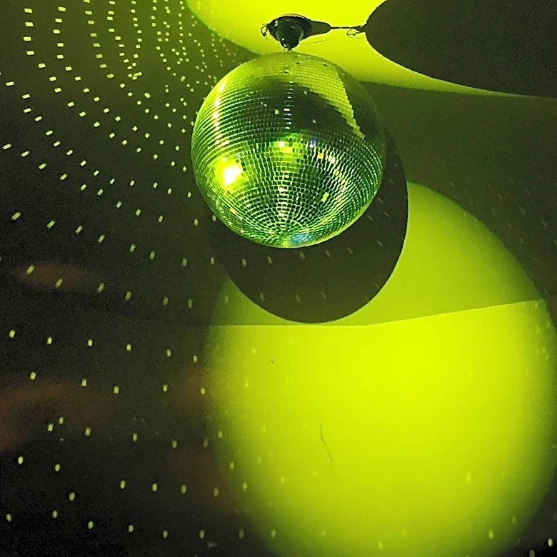 Disco Balls as a Novel Solution for Garden Pest Control