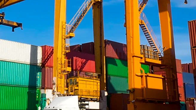 Nigeria's Lekki Port Welcomes Weekly Shipping Service from MSC, Enhancing Trade Efficiency