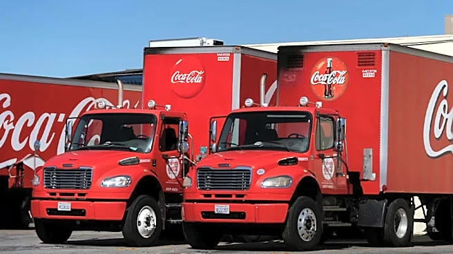 Coca-Cola Offers Internship in Commercial Excellence in Istanbul