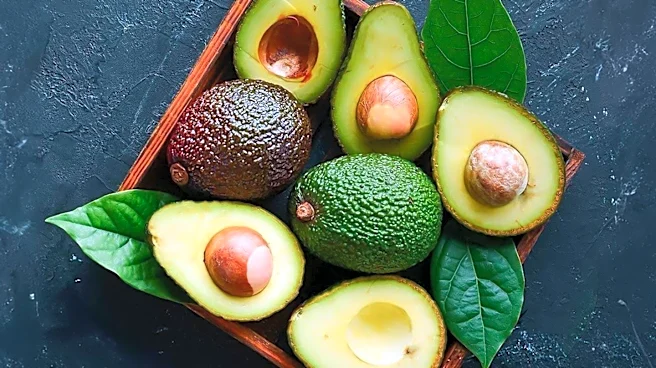 Mexican Avocado Exports to the U.S. Halted Due to Security Concerns
