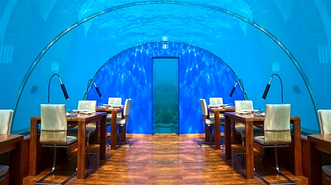 Francis Ford Coppola's Café Zoetrope Offers Unique Dining Experience in San Francisco