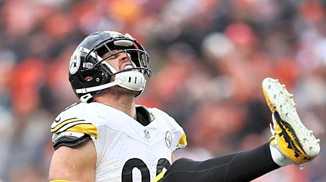 Steelers' Training Camp Highlights and Player Prospects Discussed