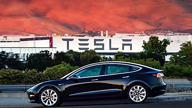 SpaceX and Tesla Collaborate on Massive Chip Factory in Texas