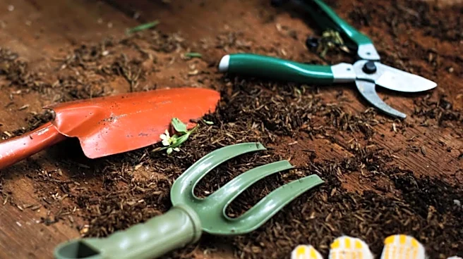 Japanese Hand Hoe and Tiller Revolutionizes Gardening Efficiency