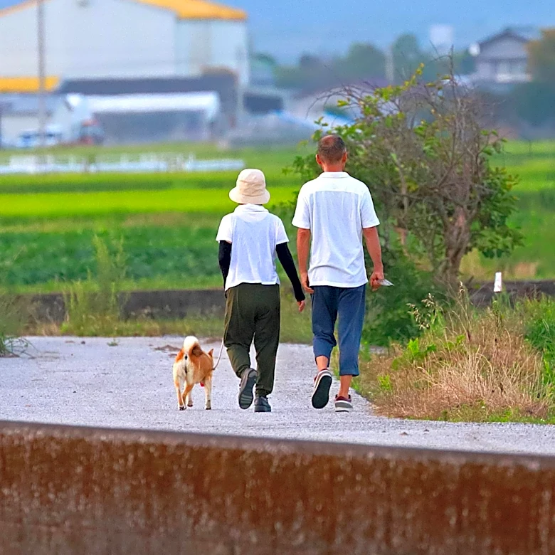 Millennial Couple Transitions from Sweden to Rural Japan for New Lifestyle