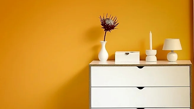 Walmart's Affordable Mini Dresser Offers Versatile Storage Solutions