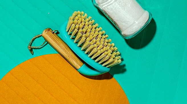 Seep Introduces Chic, Plastic-Free Cleaning Products to Reduce Household Waste
