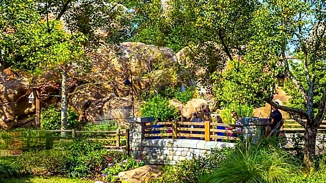 Disneyland to Introduce New Avatar Land, Replacing Iconic Ride
