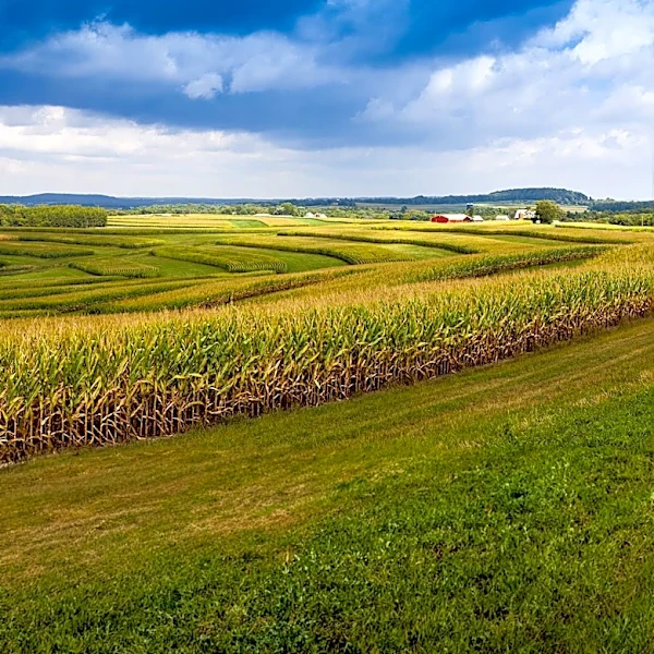 Great Vermont Corn Maze Celebrates America's 250th Anniversary with New Design