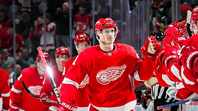 Detroit Red Wings' Draft Lottery Misfortunes Impact Team Rebuilding Efforts